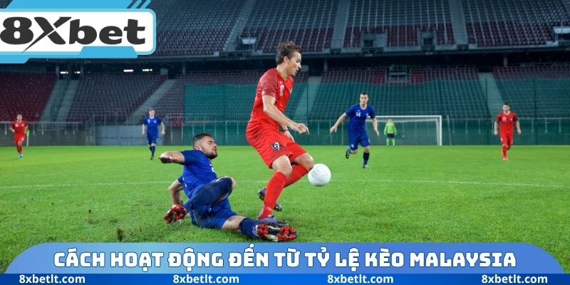 Cách hoạt động đến từ tỷ lệ kèo Malaysia